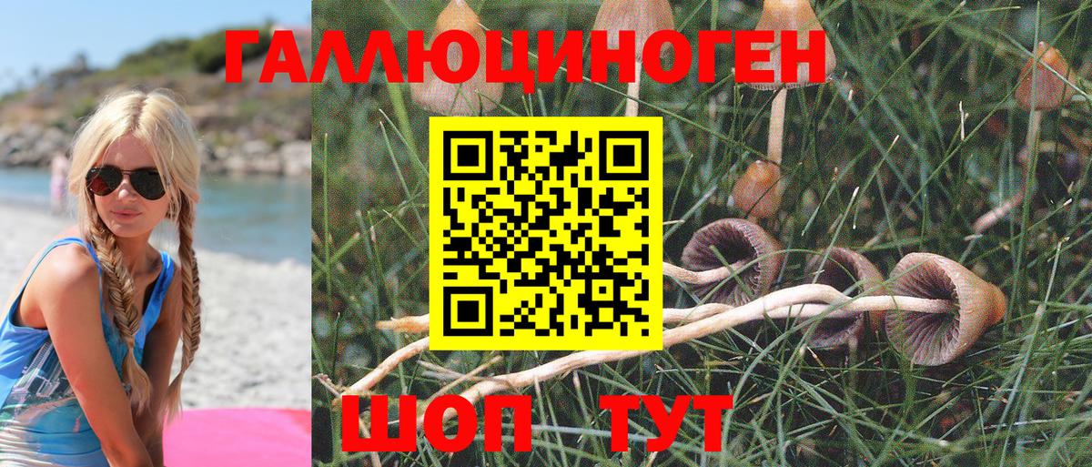 Нововоронеж  продажа наркотиков  Вход с VPN  Псилоцибиновые грибы Cubensis 